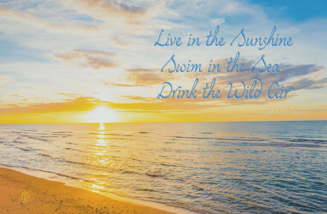 "Live in the Sunshine" Ready-to-Hang Stretched Canvas Frame