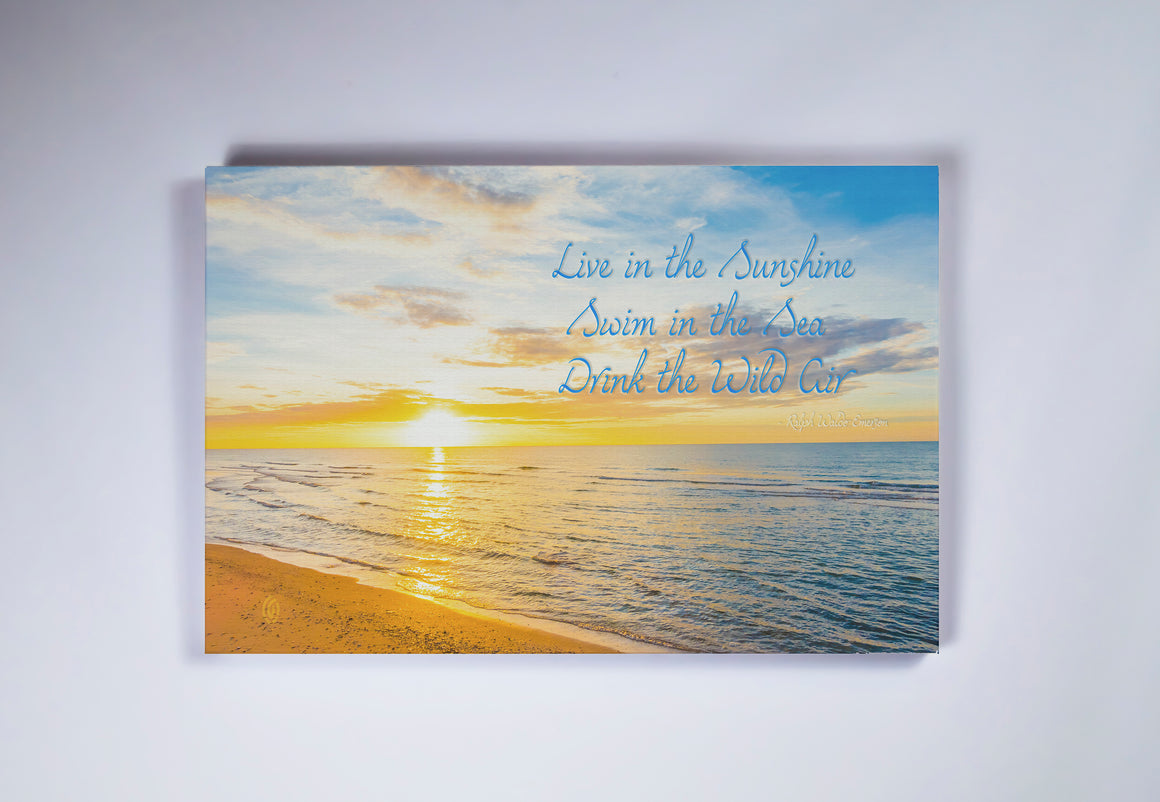 "Live in the Sunshine" Ready-to-Hang Stretched Canvas Frame
